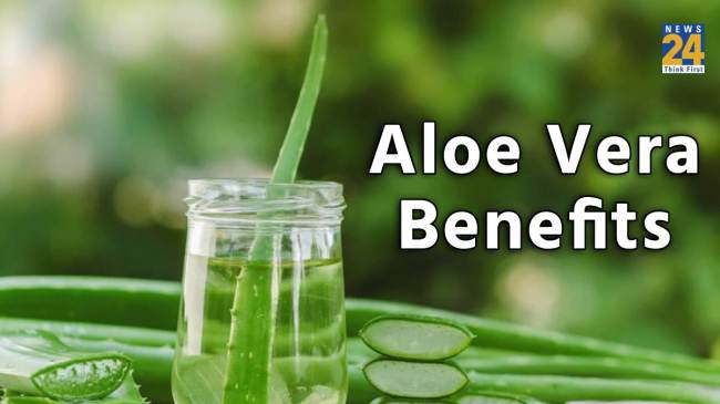 Aloe Vera Benefits