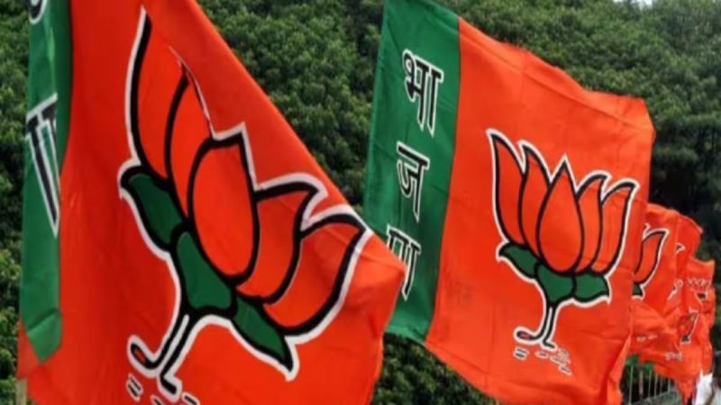 BJP Strategy Assembly Elections