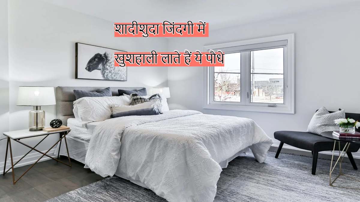 Bedroom Vastu Tips