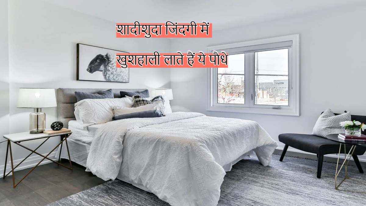 अगर पति-पत्नी में बराबर होता है झगड़ा, तो आज ही बेडरूम में लगा लें इनमें से 1 पौधा