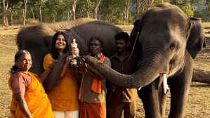 Bellie and Bomman, Oscar-winning film, The Elephant Whisperers, Director Kartiki Gonsalves