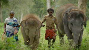 Bellie and Bomman, Oscar-winning film, The Elephant Whisperers, Director Kartiki Gonsalves