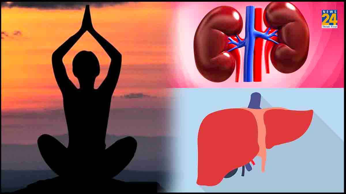 Best Yoga: योग करेगा हर रोग दूर! ऐसे किडनी और लीवर को बनाएं तंदुरुस्त