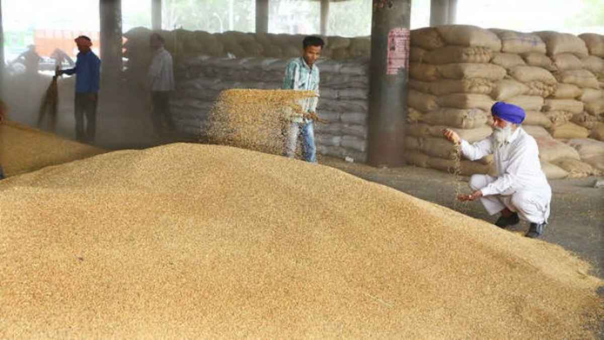 Crops Rate: पंजाब सरकार ने केंद्र तक पहुंचाई किसानों की आवाज, MSP को लेकर दिए ये सुझाव