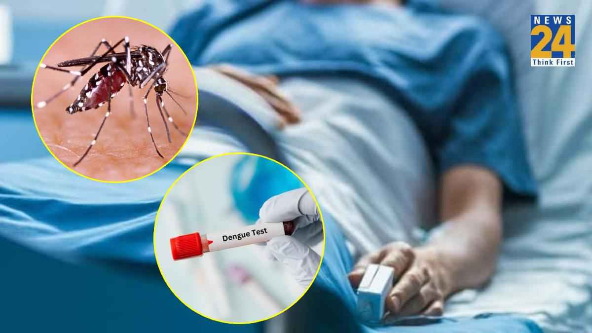 dengue patient, malaria Case, Ghaziabad News, News, UP News, Dengue in UP