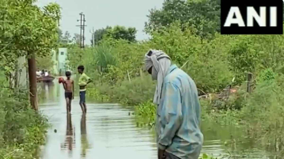 बलिया में 12 घर नदी में समाए, कानपुर शहर में घुसा गंगा का पानी, देखें नदियों ने कैसे मचाई तबाही? Video