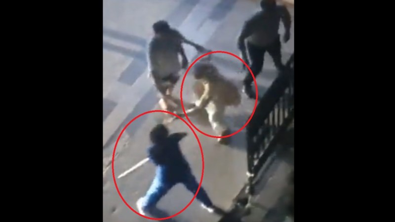 viral video, up news, ghaziabad dog fight, ghaziabad panchsheel society video, up news in hindi