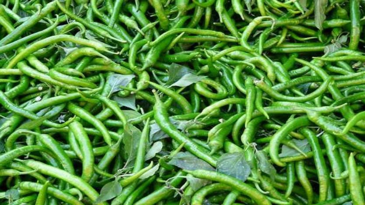 Green Chilli Benefits