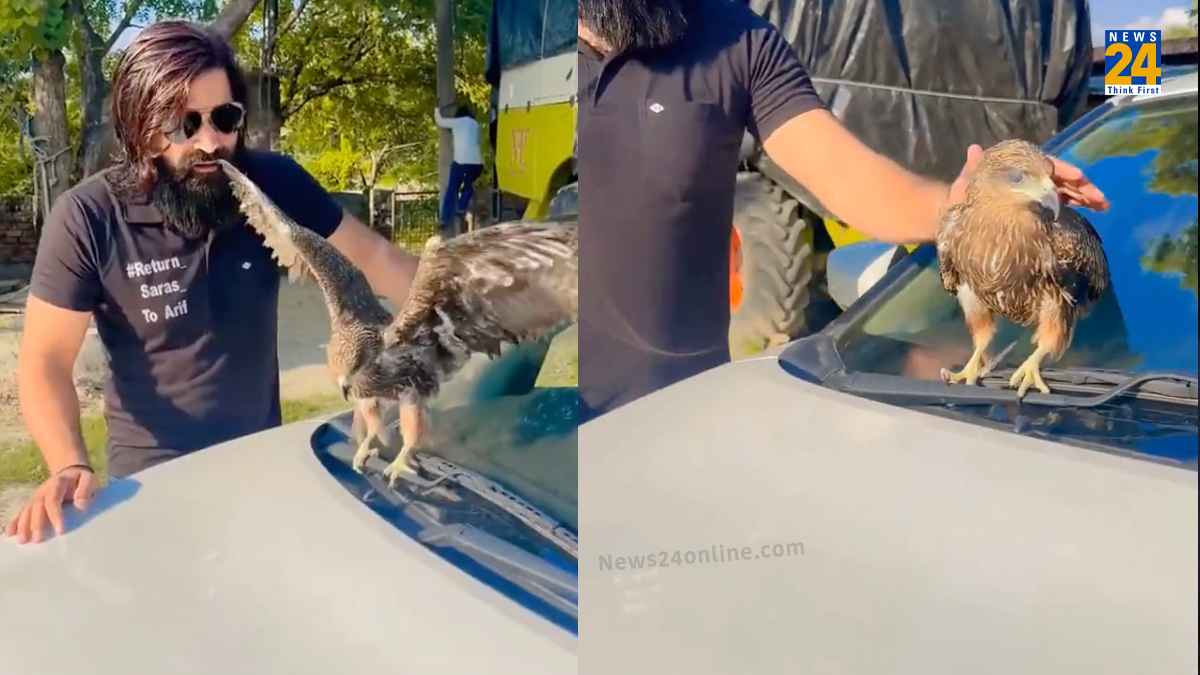 Viral Video: 'सारस' के बाद आरिफ को मिला नया दोस्त, सोशल मीडिया पर फिर से छाई ये पोस्ट