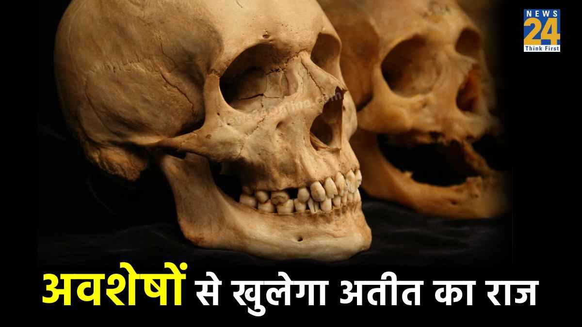 वैज्ञानिकों ने खोजी इंसानों की नई प्रजाति, खुदाई में मिली तीन लाख साल पुरानी बच्चे की खोपड़ी