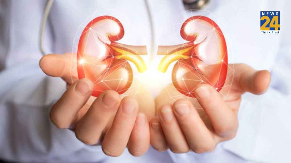 शरीर में दिखें ऐसे बदलाव तो हो जाएं सावधान! किडनी फेल होने के हो सकते हैं लक्षण