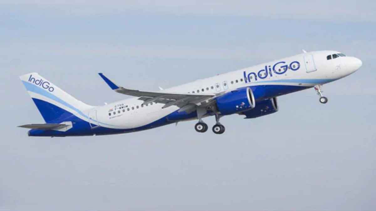 IndiGo flight
