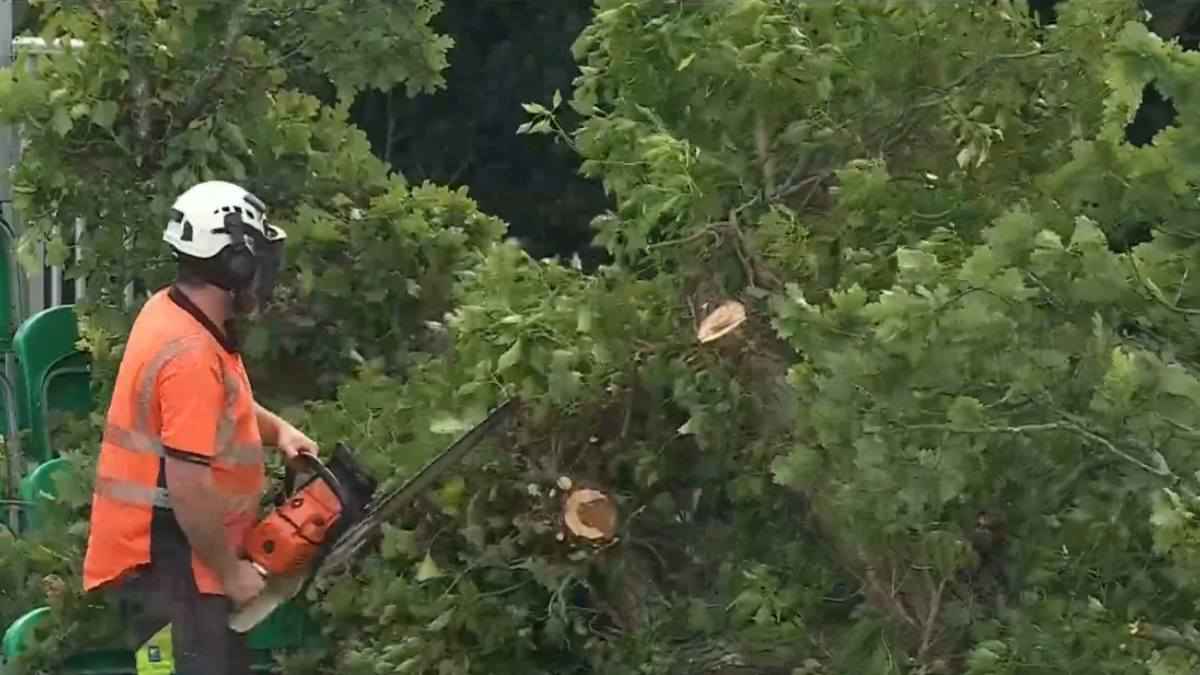 India vs Ireland 2nd T20i