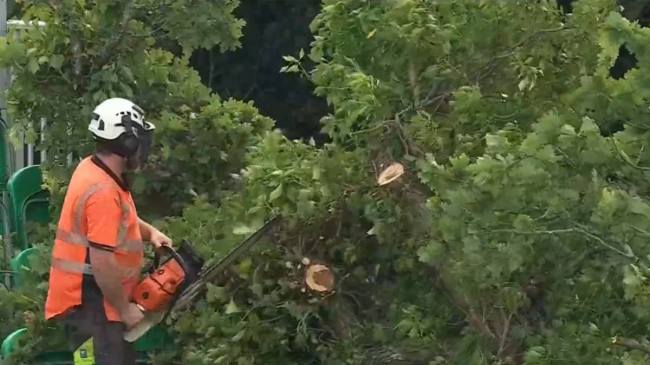 India vs Ireland 2nd T20i