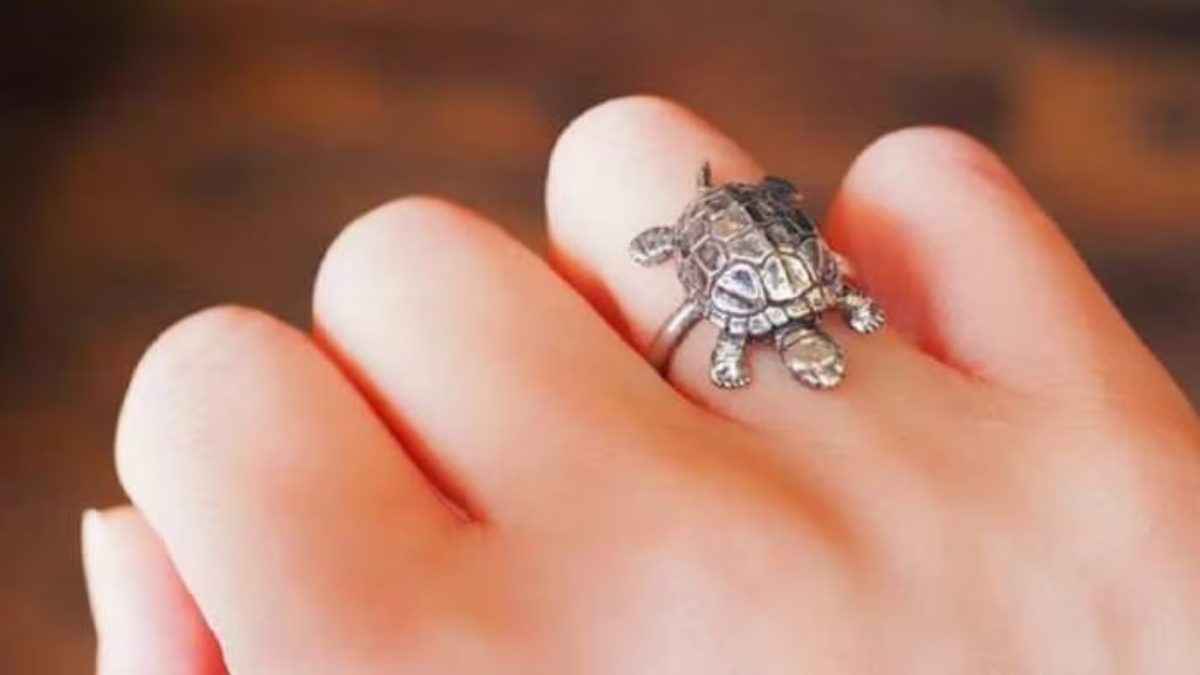 Kachua Ring, Kachua Ring wearing Rule, Turtle Ring, कछुए वाली अंगूठी, कछुआ रिंग