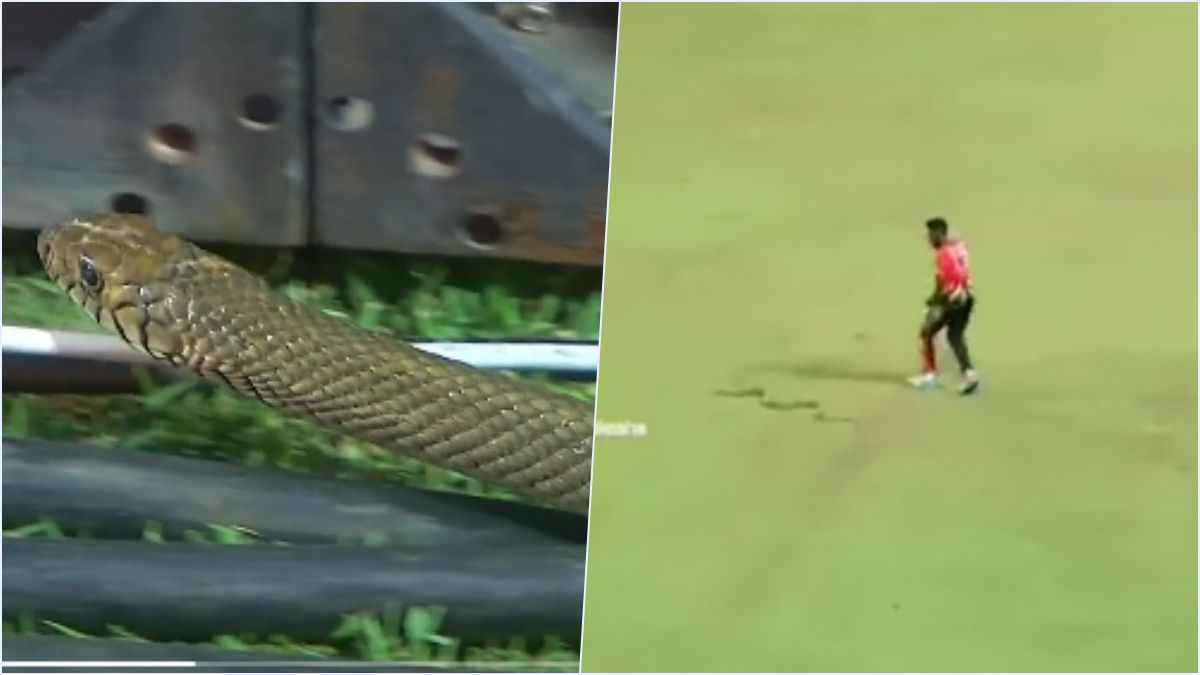 LPL 2023 Big Snake Entry in Cricket ground
