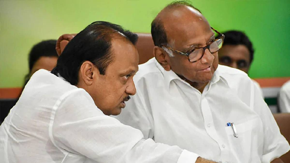 Maharashtra Politics Sharad Pawar says There Is No any Division In NCP Ajit Our Leader