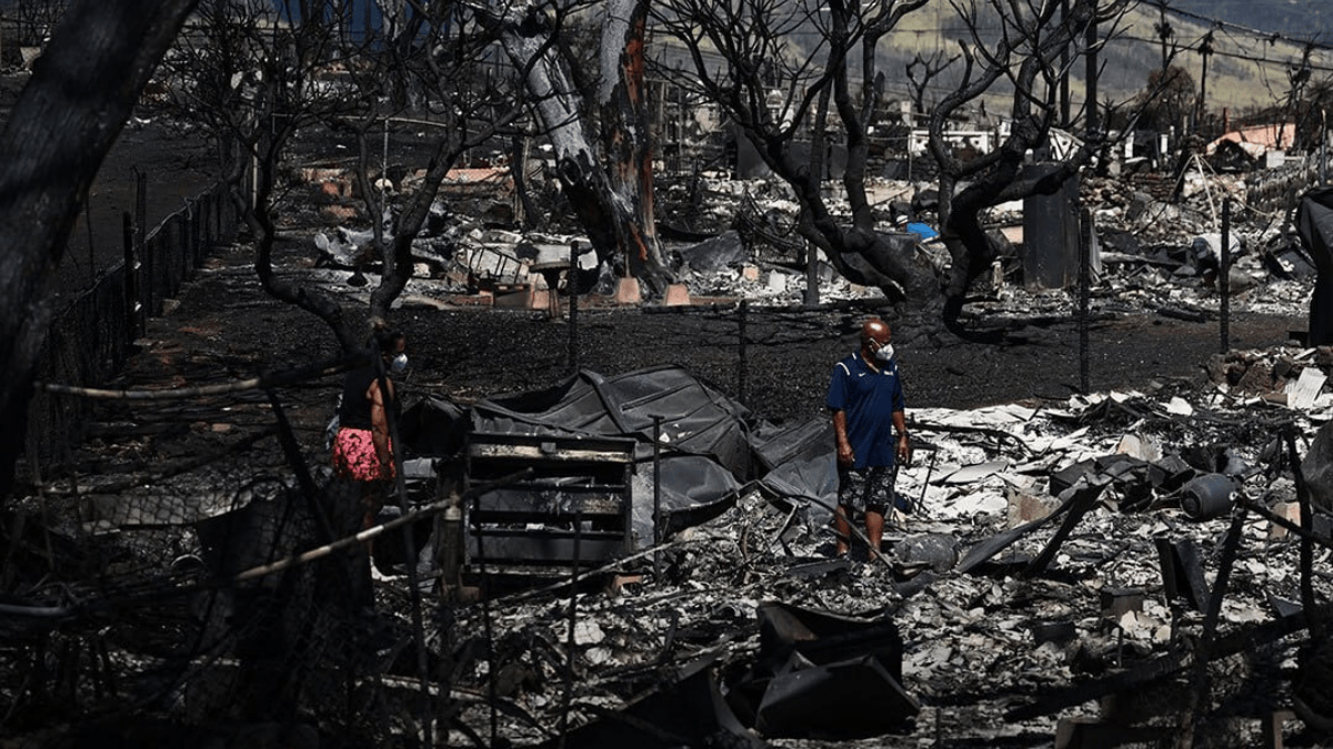 Maui wildfires, Hawaii, America, Maui Island
