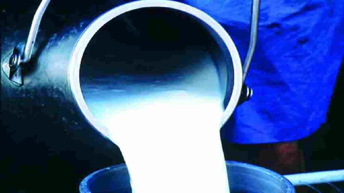 Milk Prices To Go Down Milk Price, Milk Price Hike, Milk Price Down