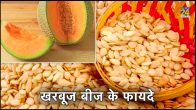 muskmelon seeds benefits, how to eat muskmelon seeds, muskmelon seeds benefits for hair