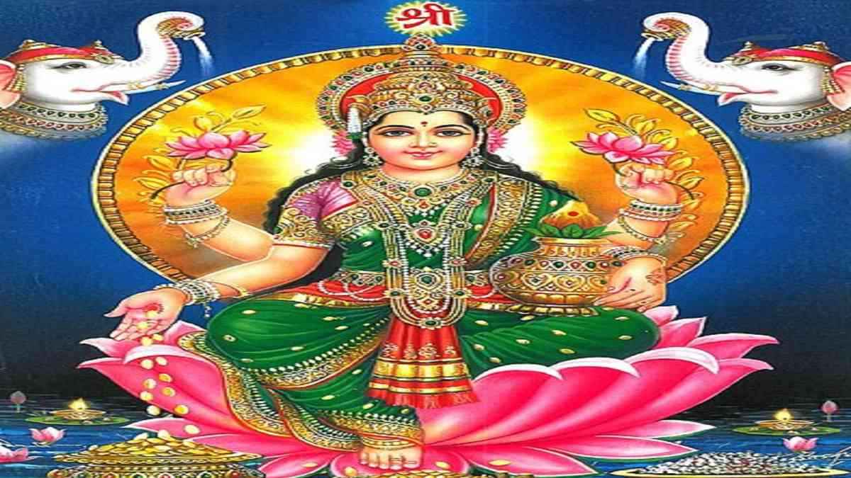 Nagkesar Beej, Nagkesar Beej Benefits, Nagkesar ke Fayde, Maa Lakshmi