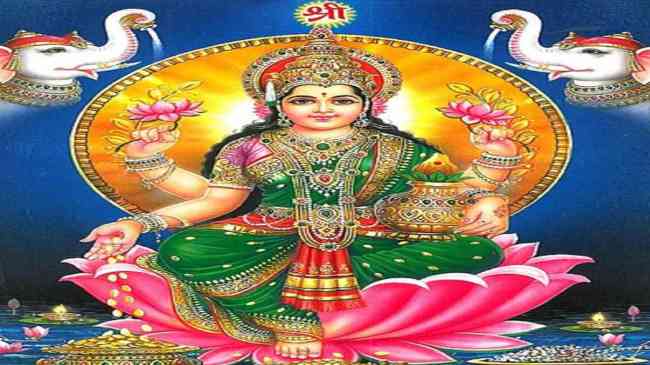 Nagkesar Beej, Nagkesar Beej Benefits, Nagkesar ke Fayde, Maa Lakshmi