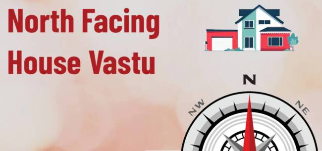 money plant, money plant Vastu, vastu Tips, Tulsi, North Direction Vastu