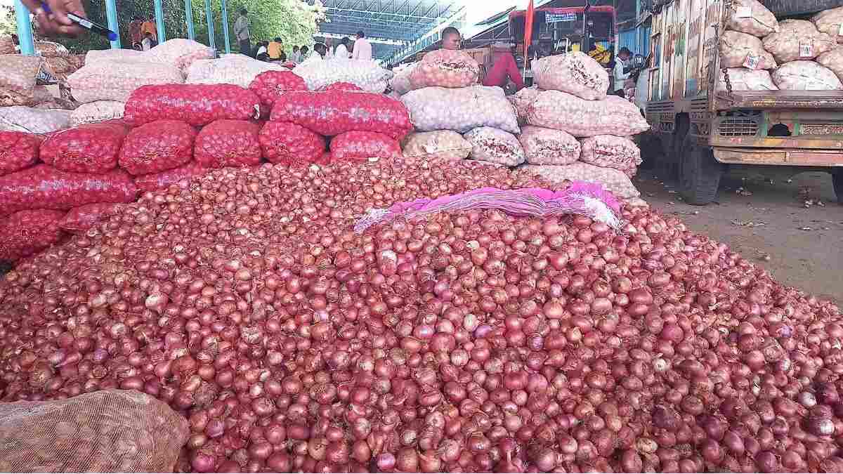 Onion Prices Hike