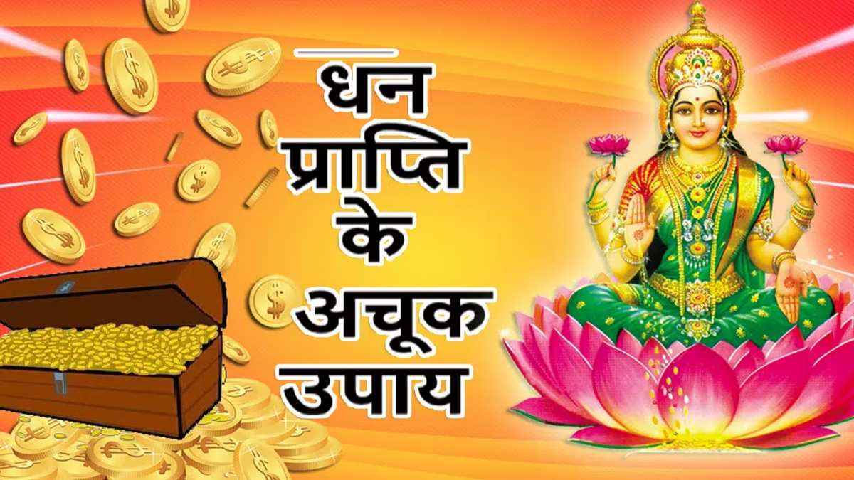 घर की इस दिशा में लगा लें शनि से जुड़ा ये 1 पौधा, चमक उठेगी किस्मत; होगा अपार धन-लाभ