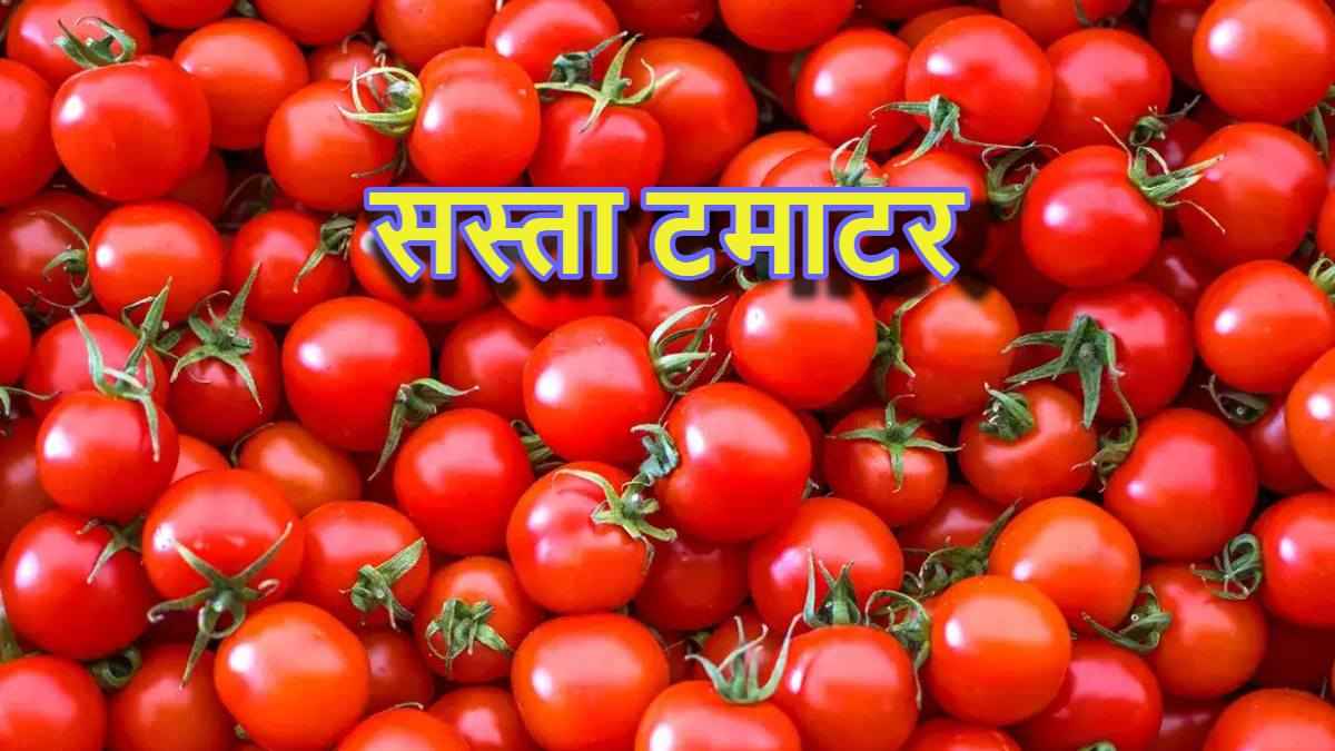 Tomato News: खुशखबरी! 70 रुपये किलो मिल रहा है टमाटर, जगह-टाइम के लिए पढ़ें खबर