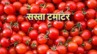 Tomato News, Tomato Good news, Tomato Price, Tomato Rates, Tomato News Update, UP News, Lucknow News