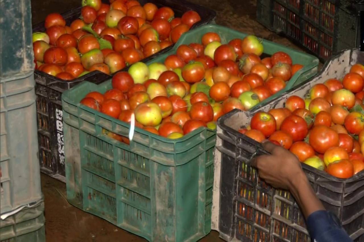 Tomato Prices Hike