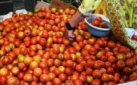 Tomato Price Hike