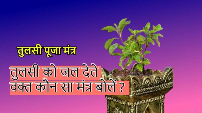 Tulsi Puja Mantra