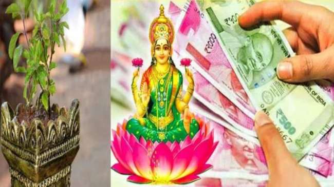 Tulsi, Tulsi Puja Vidhi, Tulsi Puja Niyam, Tulsi Tips For Wealth
