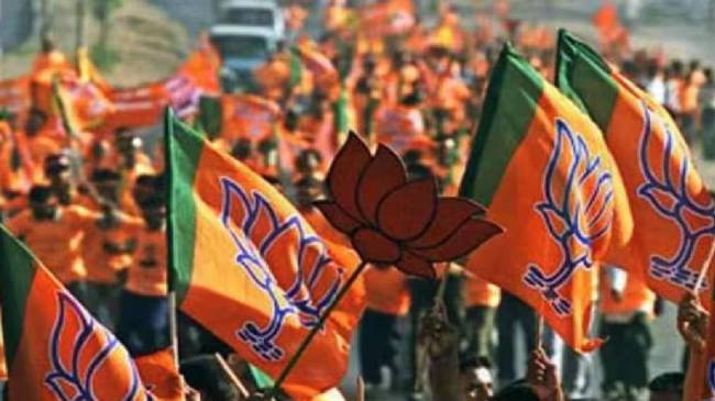 BJP Plan For 2024 Election