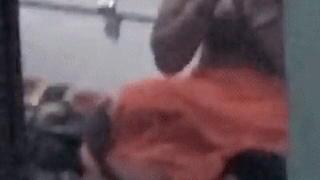 Cobra Snake wrapped woman leg, Mahoba Video, Viral Video, UP News Cobra Snake wrapped woman leg, Mahoba Video, Viral Video, UP News