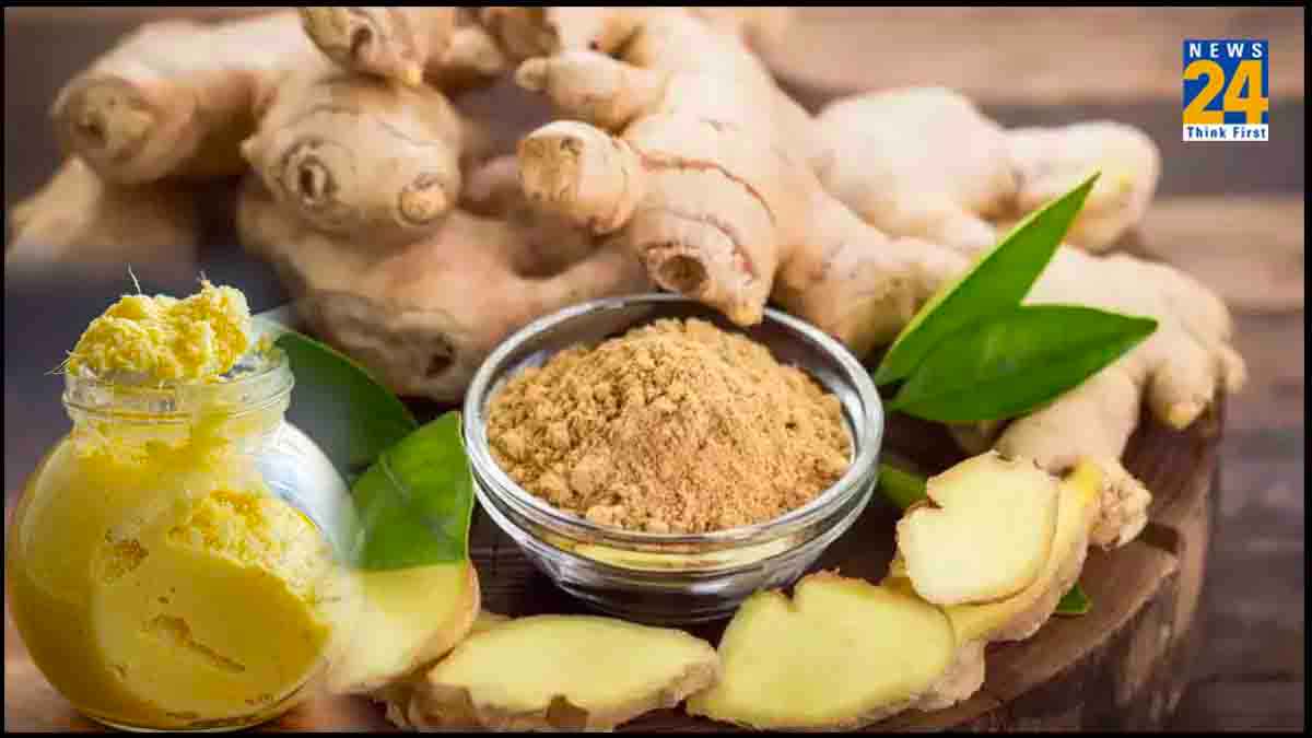 Ginger Storage Tips: कई सप्ताह तक नहीं खराब होगा अदरक! बस अपनाएं स्टोर करने के ये 7 तरीके