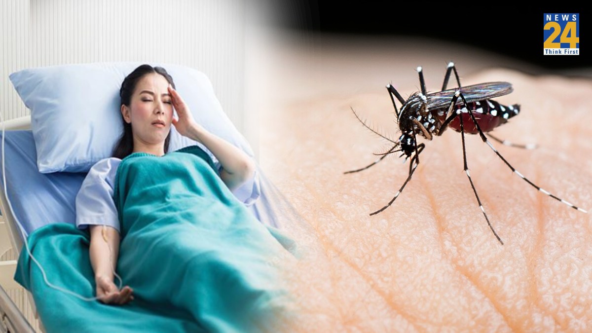 Dengue in Uttar Pradesh, Dengue in UP, UP Govt on Dengue, Dengue in Noida, how to Protact From Dengue, Dengue