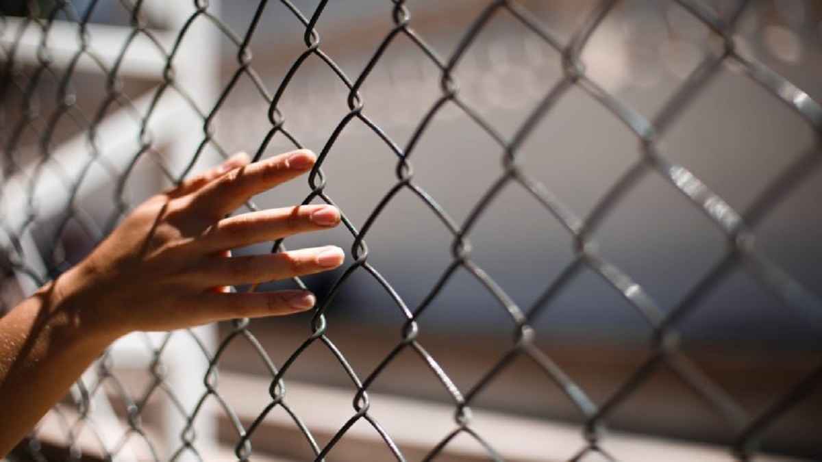 Indian Students: अमेरिका से वीजा में गड़बड़ी पाए जाने के आरोप में वापस भेजे गए छात्रों की बढ़ सकती है मुसीबत, होगी ऐसी कार्रवाई!