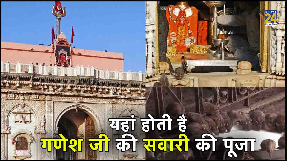 karni Mata Temple, karni mata mandir, Rajsthan, Bikaner, religious tourist places, religious places in Rajsthan, popular places in bikaner, Travel