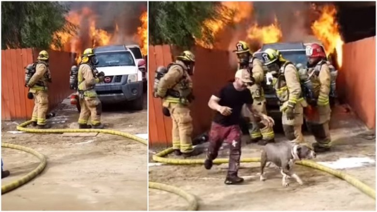 man saves his dog