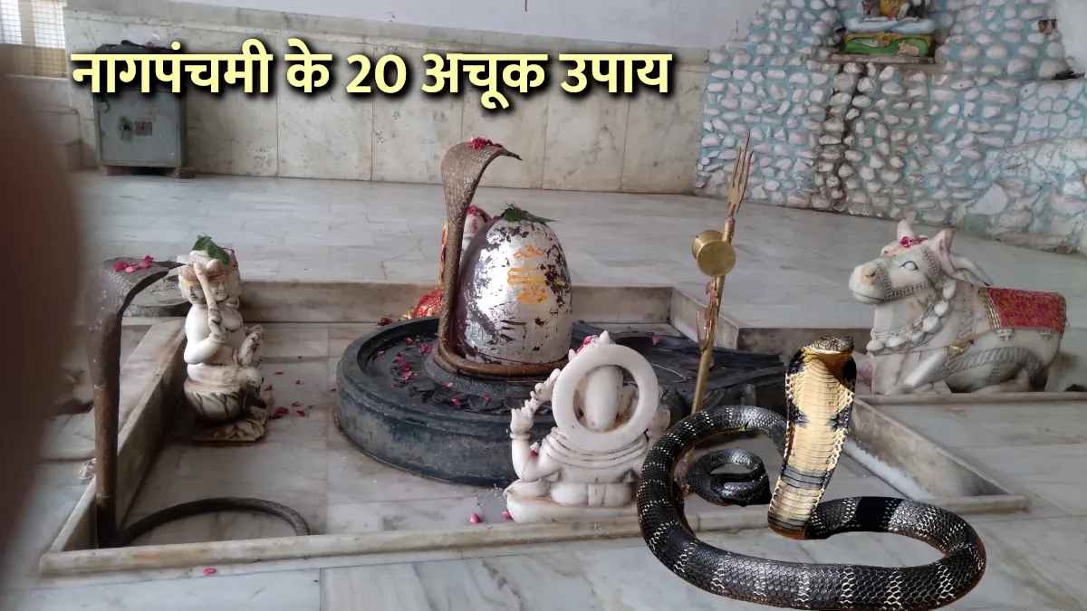नागपंचमी के 20 अचूक उपाय, एक भी कर लेंगे तो किस्मत बदल जाएगी