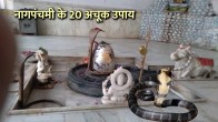 Pandit Suresh Pandey, Jyotish tips, Nag Panchami upay, Nag Panchami, Nag Panchami 2023,
