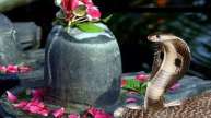 Nag Panchami, Nag Panchami 2023, Nag Panchami upay, नाग पंचमी उपाय