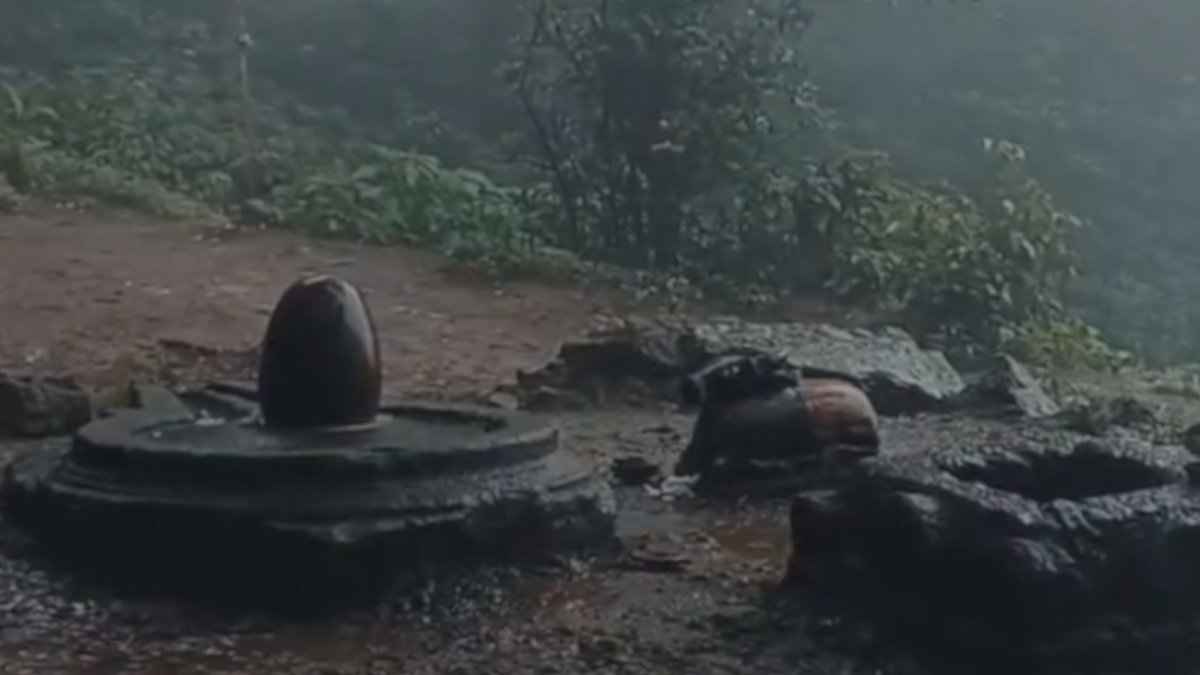 सोमवार को है नागपंचमी, इन उपायों को करते ही चमकेगी किस्मत, जमकर बरसेगा पैसा