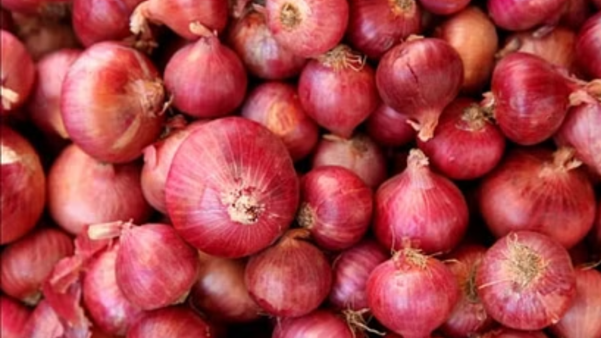 Onion Price In Delhi