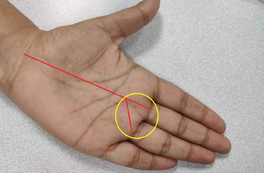 palmistry Palmistry, Palmistry, Money Profit, Luck Line, हस्तरेखा