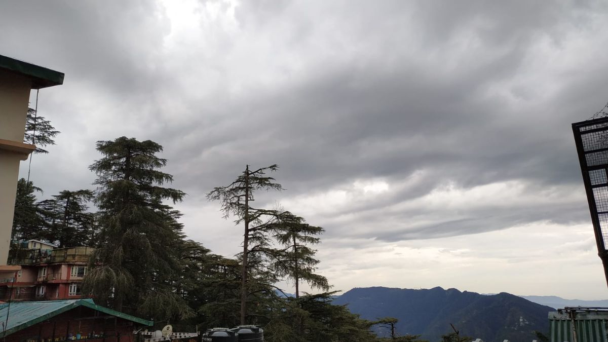 Himachal Rain News