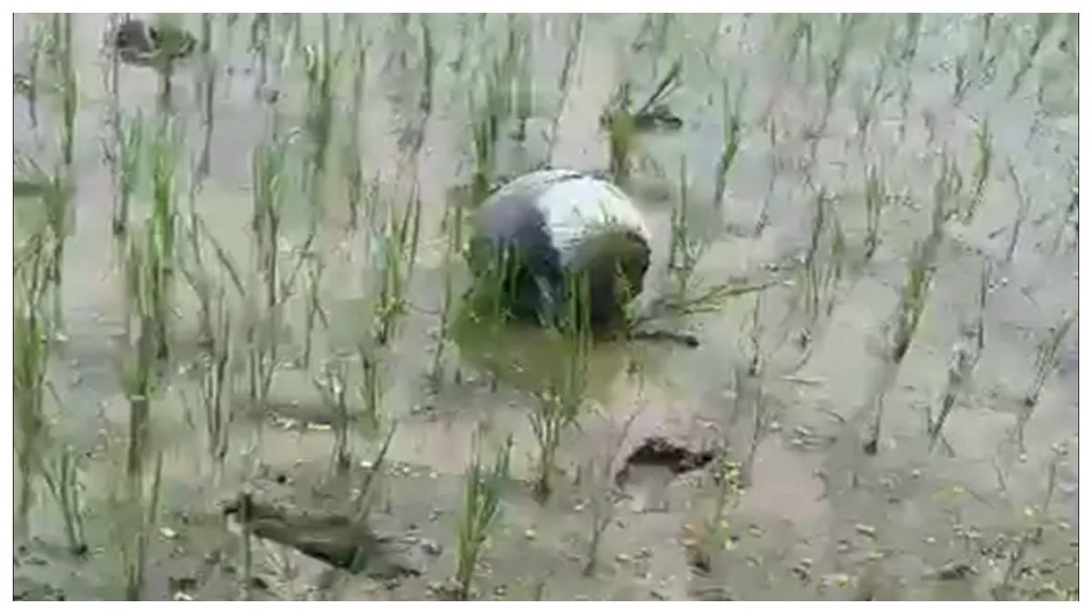 sky ball fell in Gwalior